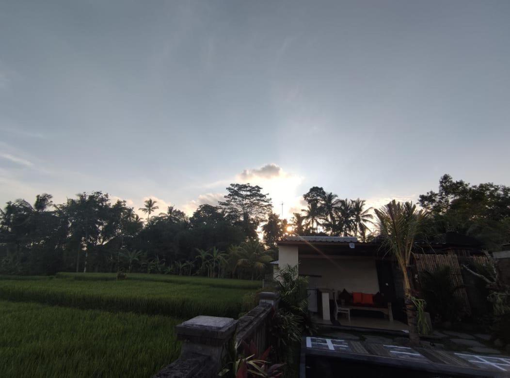 Anggarakasih Ubud Villa Екстер'єр фото