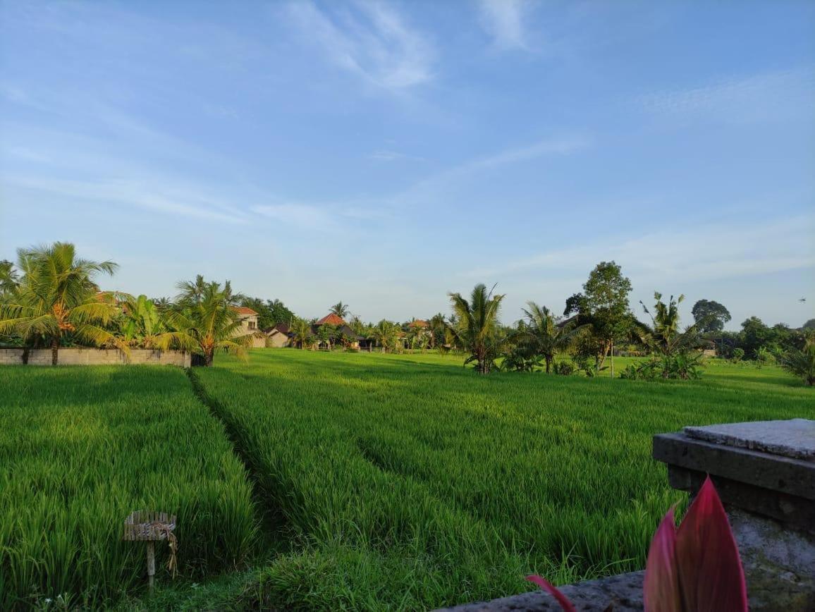 Anggarakasih Ubud Villa Екстер'єр фото
